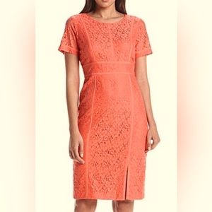 New Calvin Klein Coral Floral Lace Dresa